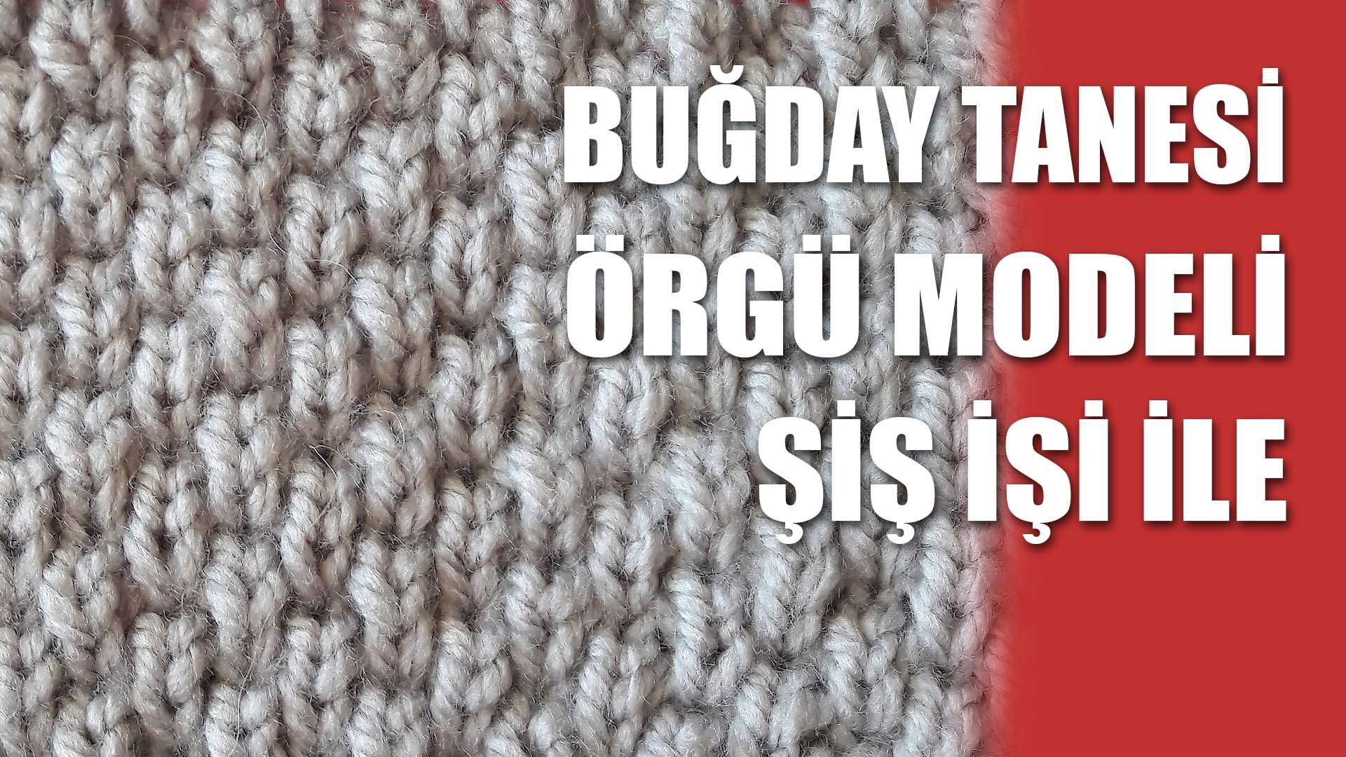 Photo of Taneli Buğday Örgü Motifi – Videolu Anlatım